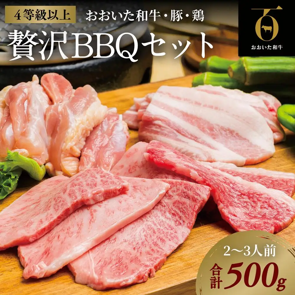 焼肉 おおいた和牛焼肉セット(合計500g) | 豊後高田市 