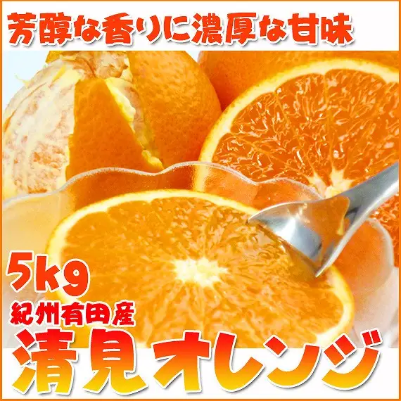 とにかくジューシー清見オレンジ　5kg［2027年3月下旬以降発送］［先行予約］［UT53］