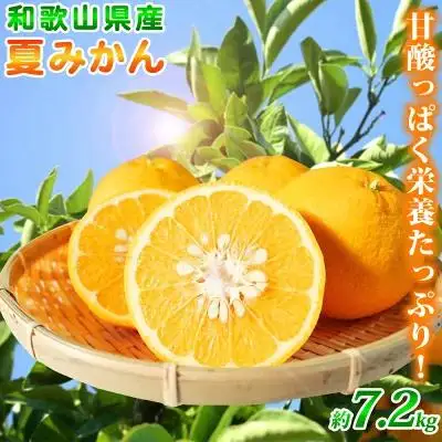 夏みかん 7.2kg［2027年4月中旬頃から発送］［先行予約］［UT73］