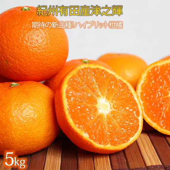津之輝(つのかがやき)　５ｋｇ［2027年2月上旬頃から2027年2月下旬頃に順次発送］［UT21］