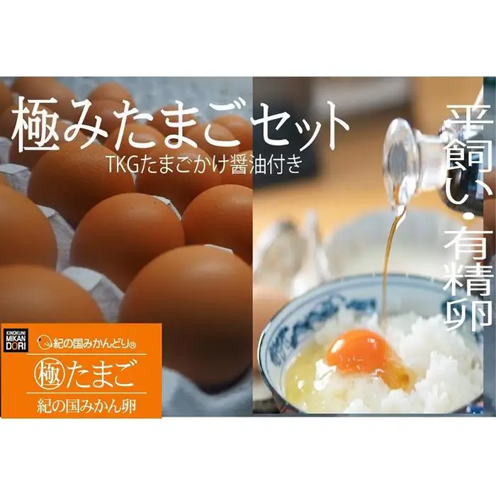 紀の国みかん極みたまごTKGセット