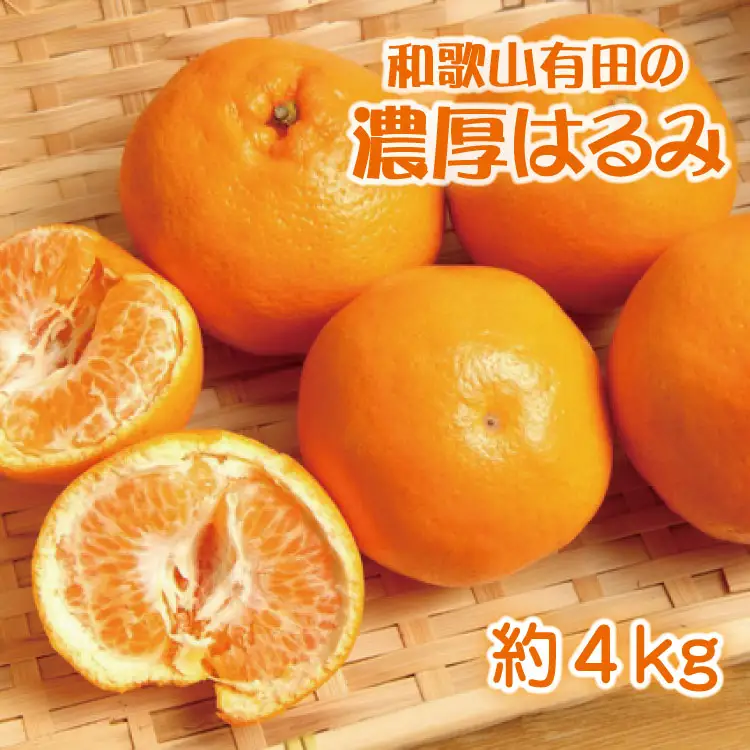 和歌山有田の濃厚はるみ　約4kg (2L又は3Lサイズ)　※2027年1月下旬～2月中旬順次発送予定【ard010C】