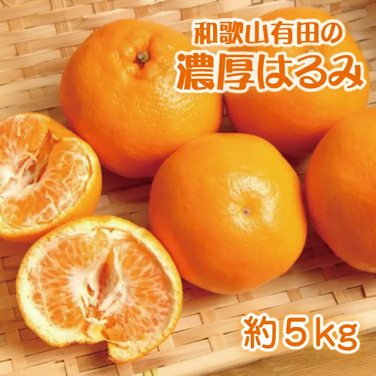 和歌山有田の濃厚はるみ　約5kg (Lサイズ)※2027年1月下旬～2月中旬順次発送予定【ard009C】