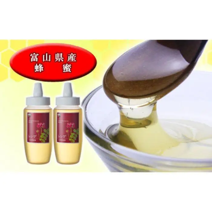 【国産高級蜂蜜】富山県産レンゲ蜂蜜500ｇ　2本セット