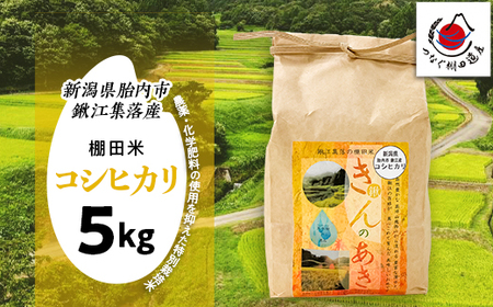 棚田米きんのあき5kg 新潟県胎内市鍬江集落産 コシヒカリ 特別栽培米