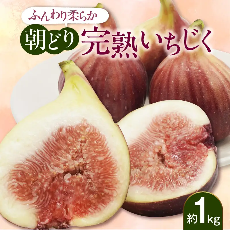ふんわり柔らか朝どり完熟いちじく｜無花果 イチジク 果物