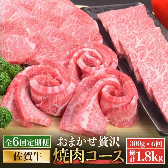 【全6回定期便】佐賀牛希少部位含む?ひとり贅沢焼肉コース? ランプ/クリ/トウガラシ/ザブトン/カイノミなど【ミートフーズ華松】 ブランド 高級 和牛 霜降り BBQ やわらか 冷凍 料理  精肉 牛肉 希少 赤身 イチボ ランプ ミスジ [FAY072]