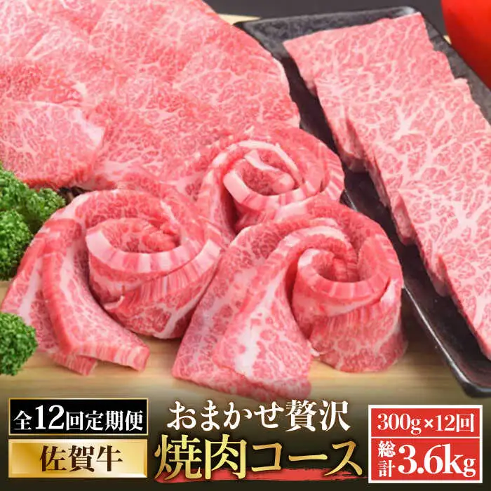 【全12回定期便】佐賀牛希少部位含む?ひとり贅沢焼肉コース? ランプ/クリ/トウガラシ/ザブトン/カイノミなど【ミートフーズ華松】 ブランド 高級 和牛 霜降り BBQ やわらか 冷凍 料理  精肉 牛肉 希少 赤身 イチボ ランプ ミスジ [FAY073]