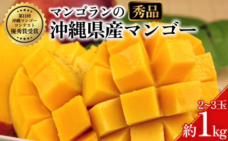 【 先行予約 2027年発送 】マンゴランのこだわりマンゴー秀品 1kg