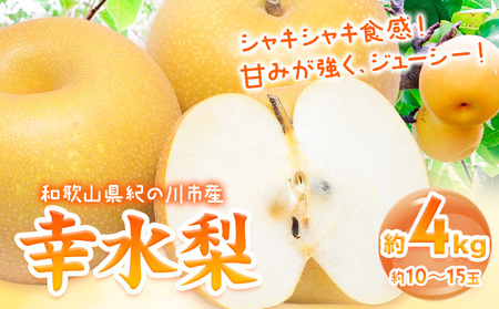 幸水 梨 約4kg