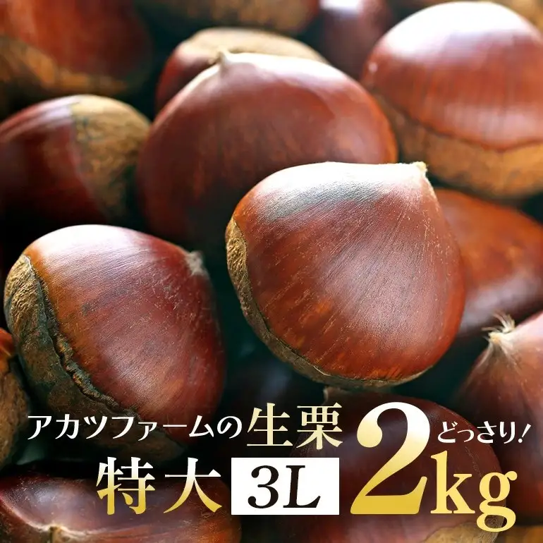 アカツファームの生栗 特大 3Lサイズ 2kg GA-003