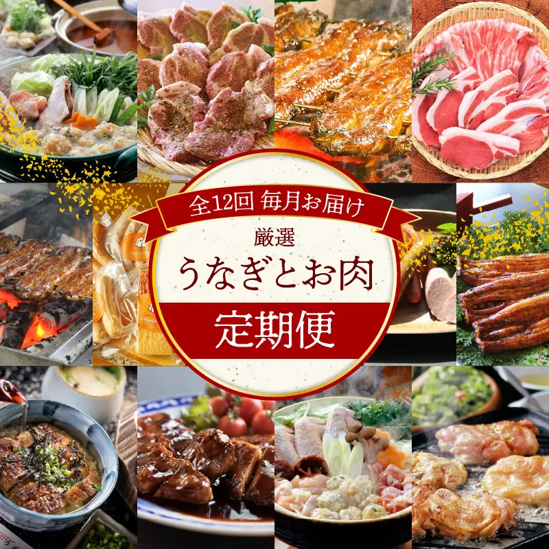 碧南市がチョイスした厳選定期便！ 【全12回】厳選！うなぎとお肉の定期便(毎月お届け）　H028-086