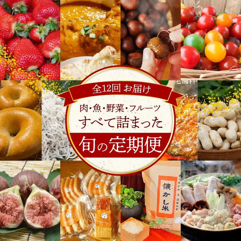 碧南市がチョイスした厳選定期便！ 【全12回】厳選！肉・魚・野菜・フルーツすべて詰まった旬の定期便(毎月お届け） H028-088