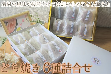 素材の風味が抜群！小さな畑の小さなどら焼き店のほっこり豊かなどら焼き6種詰合せ（粒餡、焼き芋、柚子、きみ餡レモン、季節のどら焼き2種）_CC07