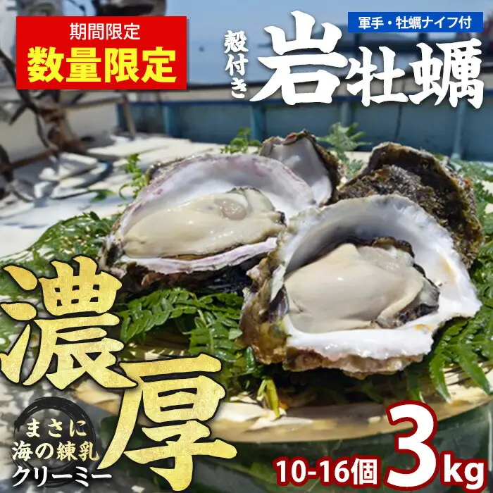 夏に美味い岩がき 約3.0kg （殻の重量含む）【錦盛丸水産】kinsei-7169
