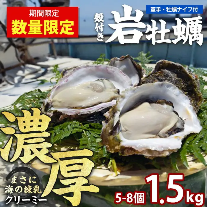 夏に美味い岩がき 約1.5kg（殻の重量含む） 【錦盛丸水産】kinsei-7168