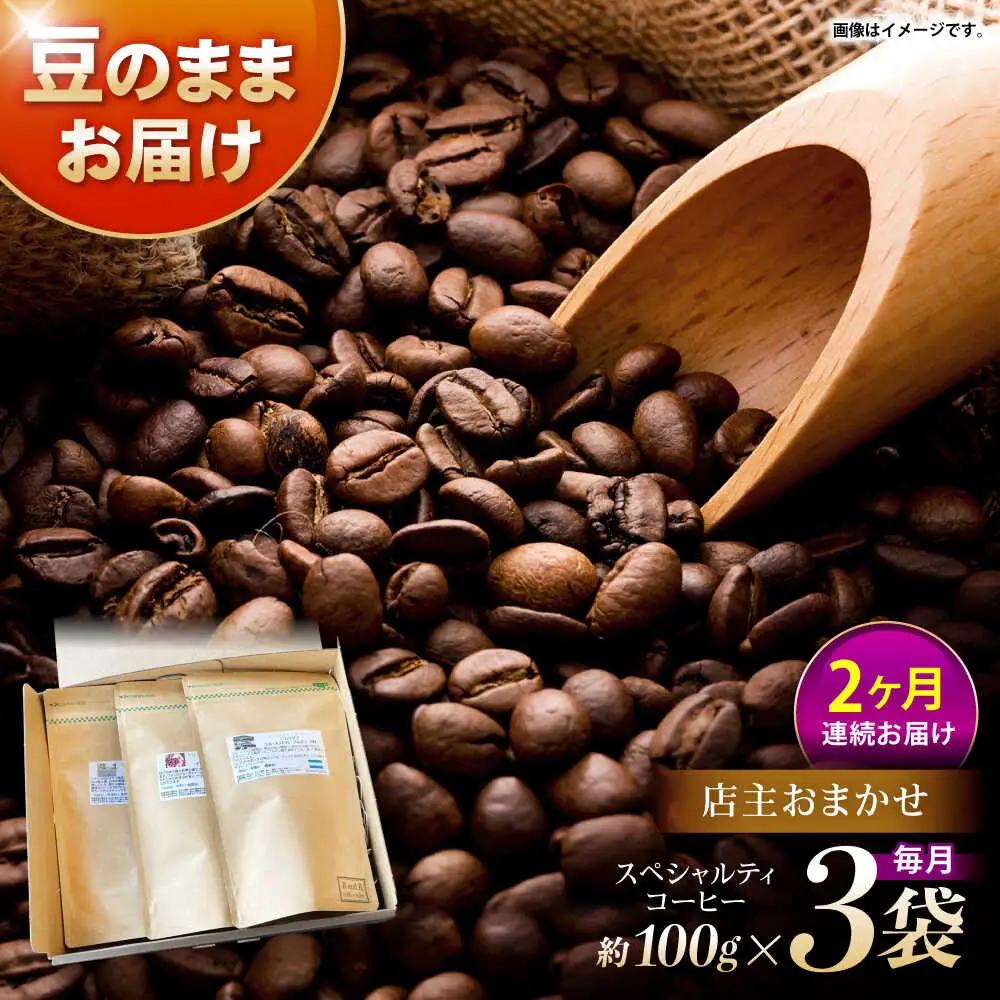 【2回定期便】自家焙煎スペシャルティコーヒーおまかせセット(豆のまま) / スペシャルティコーヒー ブレンド コーヒー / 諫早市 / R and R coffee labo [AHCJ016]