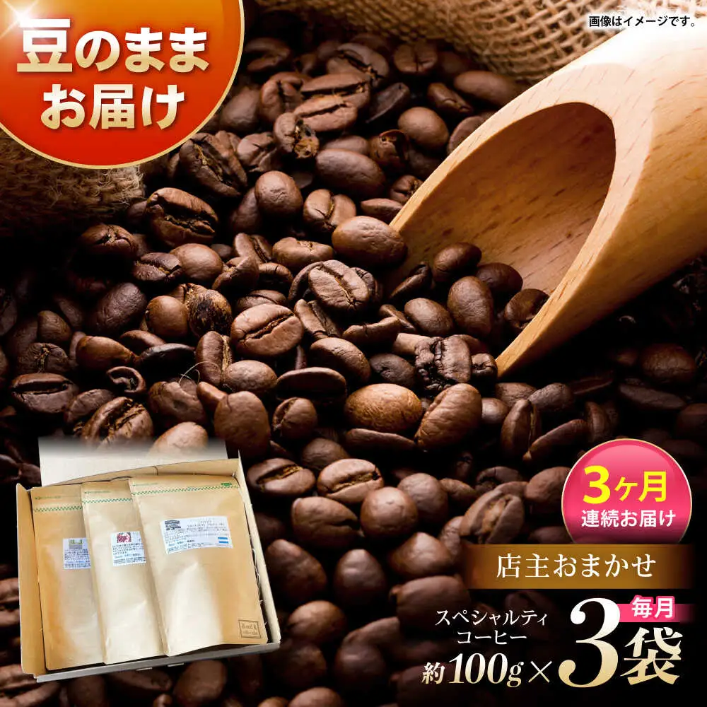 【3回定期便】自家焙煎スペシャルティコーヒーおまかせセット(豆のまま) / スペシャルティコーヒー ブレンド コーヒー / 諫早市 / R and R coffee labo [AHCJ017]