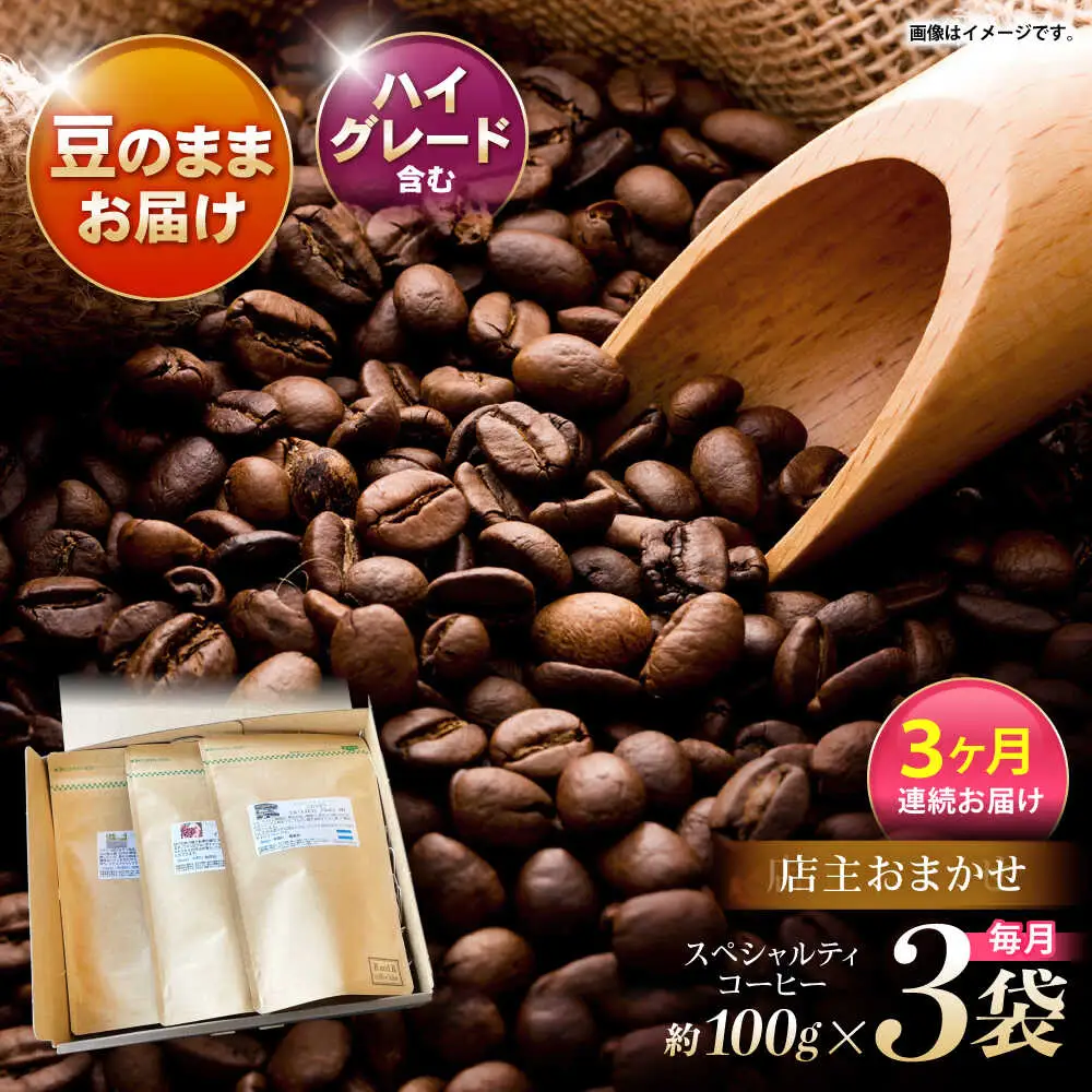 【3回定期便】自家焙煎ハイグレードコーヒーを含むおまかせセット(豆のまま) / ハイグレードコーヒー ブレンド コーヒー 豆 / 諫早市 / R and R coffee labo [AHCJ039]