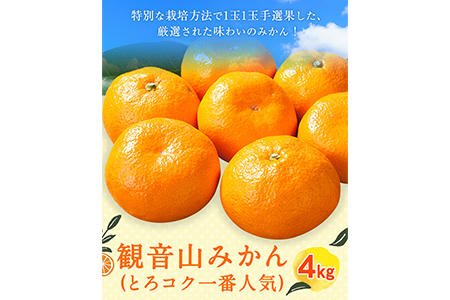 観音山みかん(とろコク一番人気) 4kg
