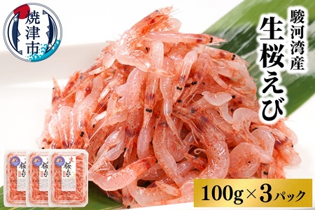 焼津特選 生桜えび100g×3 (a10-679)