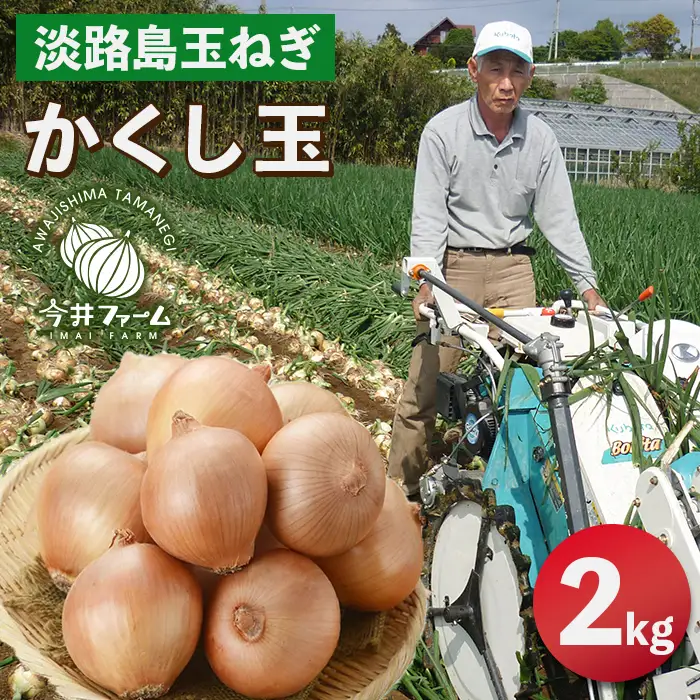 今井ファームの淡路島たまねぎ「かくし玉」 2kg　玉ねぎ