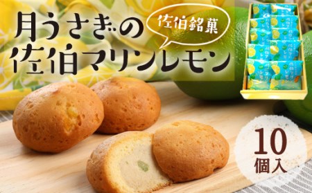 月うさぎの佐伯マリンレモン (計10個) レモン レモンケーキ スイーツ スウィーツ 菓子 焼き菓子 洋菓子 おやつ セット 個装 大分県 佐伯市【ER002】【古川製菓】