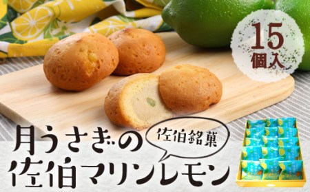 月うさぎの佐伯マリンレモン (計15個) レモン レモンケーキ スイーツ スウィーツ 菓子 焼き菓子 洋菓子 おやつ セット 個装 大分県 佐伯市【ER003】【古川製菓】