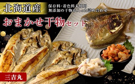 【北海道産】海産物のプロが選ぶ！おまかせ干物セット AS063