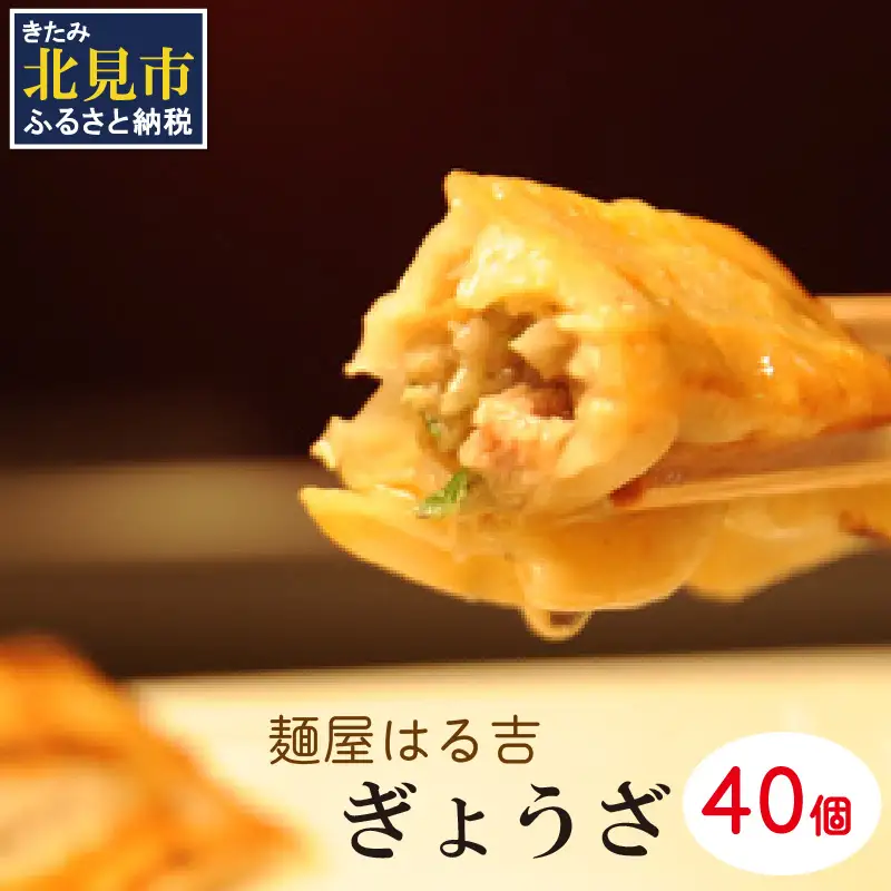 麺屋はる吉 冷凍ぎょうざオリジナル 40個入×1袋 ( 加工品 餃子 ぎょうざ 北海道 ふるさと納税 ギョーザ )【082-0007】