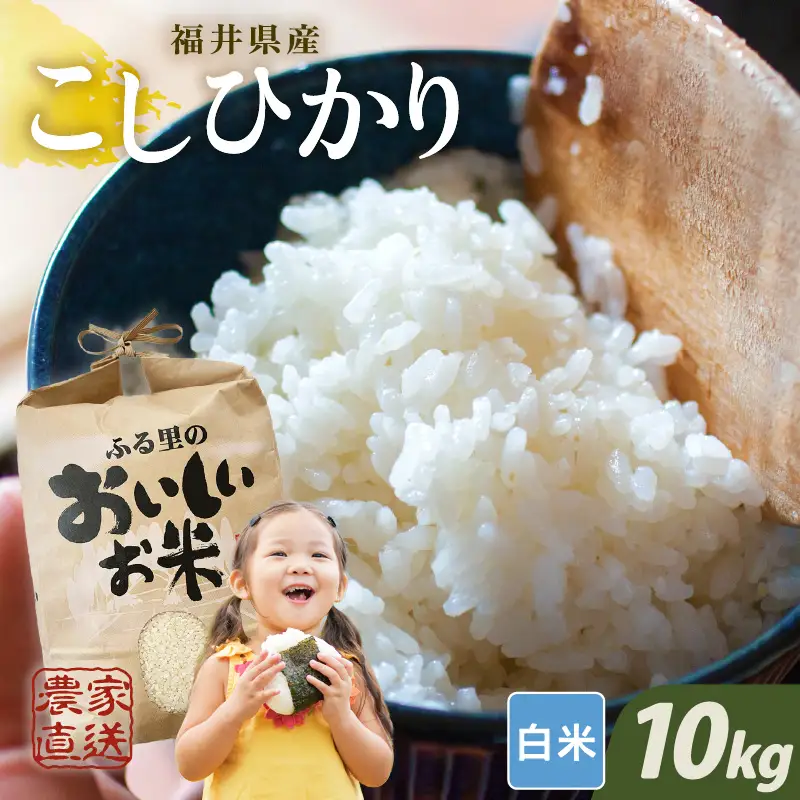 【先行予約】【令和8年産・新米】白米10kg×1袋 福井県産 コシヒカリ10kg【2026年10月上旬以降順次発送】 [B-8918_01]