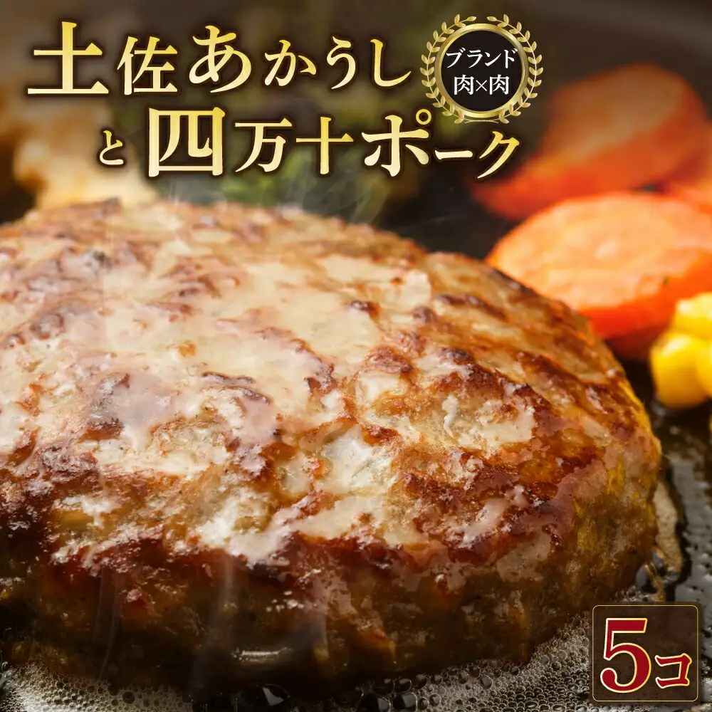 湯煎するだけ！土佐あかうしと四万十ポークのハンバーグ　５個セット
