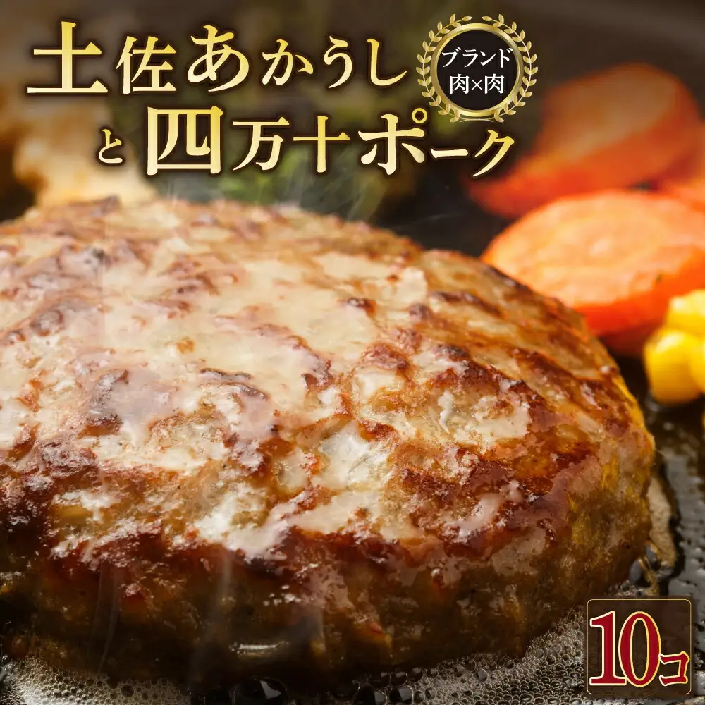 湯煎するだけ！土佐あかうしと四万十ポークのハンバーグ　１０個セット