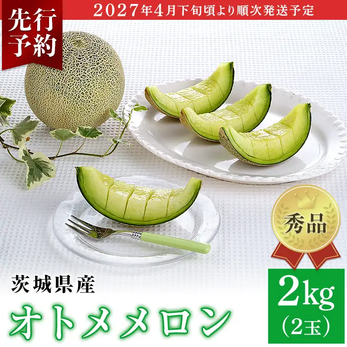007-2 オトメメロン 秀品 2玉 約2kg 茨城県 JA水戸産