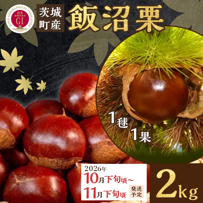 029 飯沼栗 2kg 高級 茨城県 茨城町産 ブランド くり 希少 品種 数量 限定 先行予約 2026年10月下旬～11月下旬頃発送予定