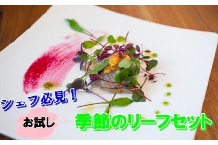 シェフ必見！お試しリーフセット 【480】