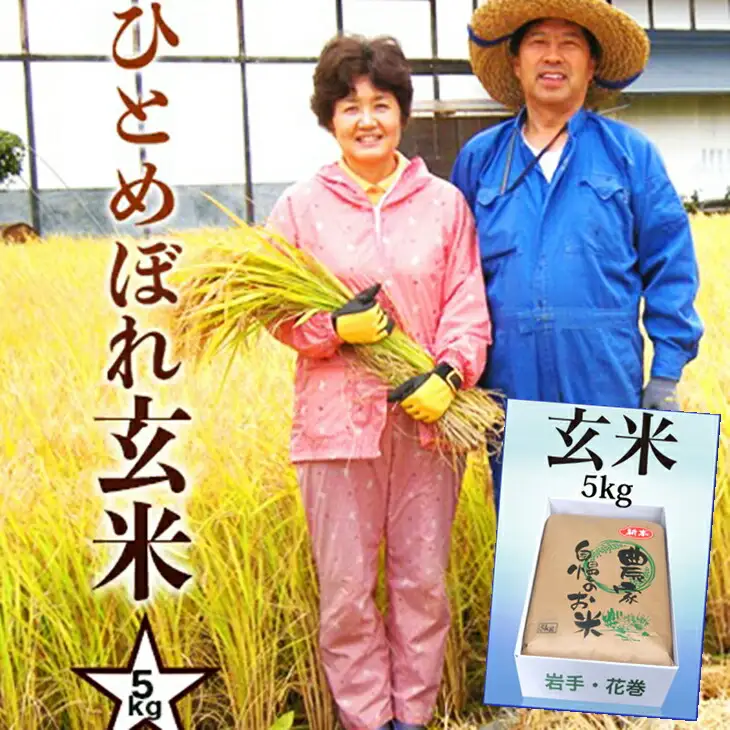 減農薬栽培　岩手花巻産ひとめぼれ玄米５kg 【509】