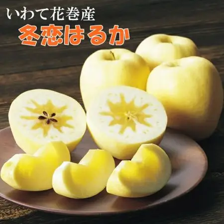 りんご【数量限定・先行予約】岩手が生んだ究極のりんご 冬恋はるか 2.5kg【570】
