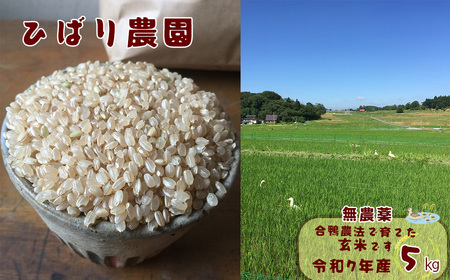 【無農薬】合鴨農法で育てたひばり農園の玄米（りくう132号） ５kg 【583】