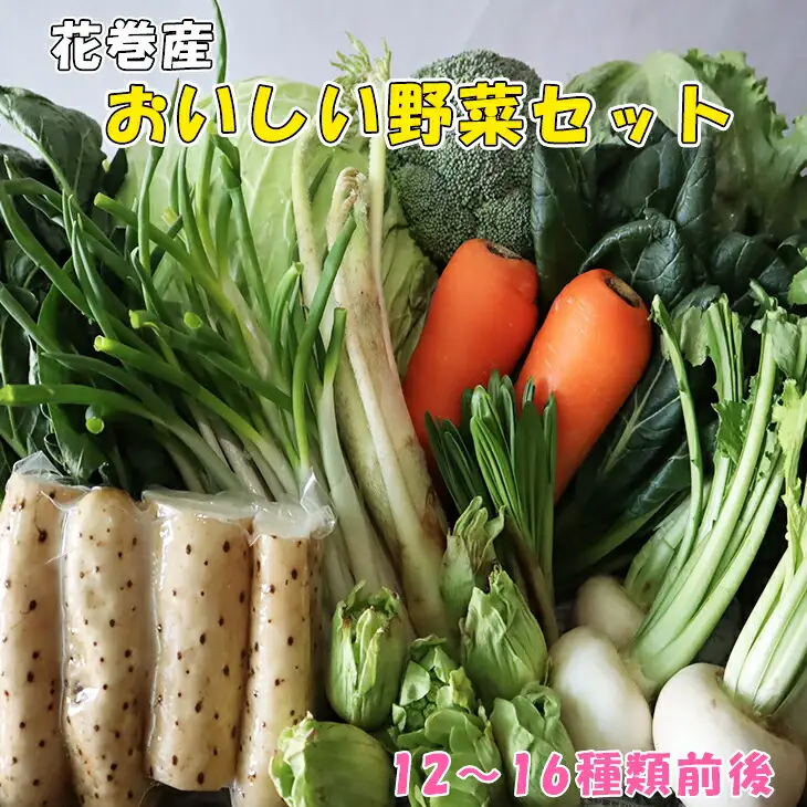 花巻産おいしい野菜セット 12～16種類前後 詰合せ お楽しみ 【876】