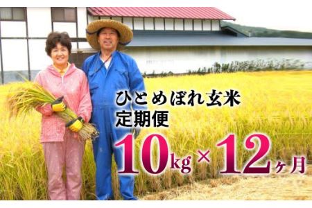 ≪令和7年産≫【12ヶ月定期便】減農薬栽培 ひとめぼれ 玄米 10kg（5kgx2袋） 【1113】