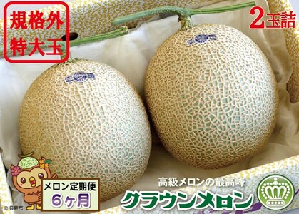 メロン 6ヶ月 定期便 クラウン 規格外 特大玉 2玉 メロン