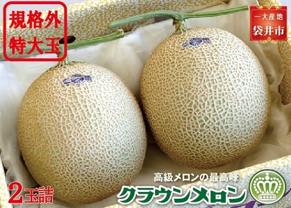 メロン クラウン 規格外 特大玉 2玉入 果物 青肉 メロン