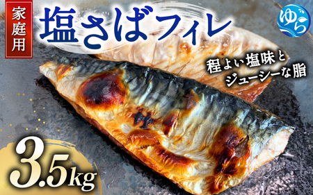 【ご家庭用】大容量！ 塩さば フィレ3.5kg / 鯖 サバ 切身【uot749C】