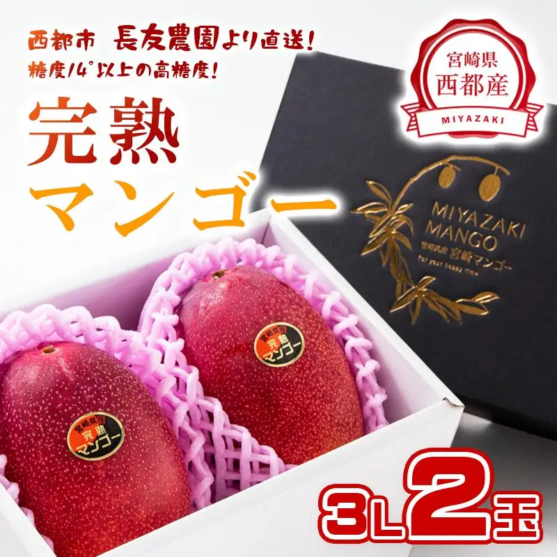 【先行予約】2027年発送【長友農園】糖度14度以上 完熟マンゴー 3L×2 宮崎県西都産 生産者直送＜46-2a＞