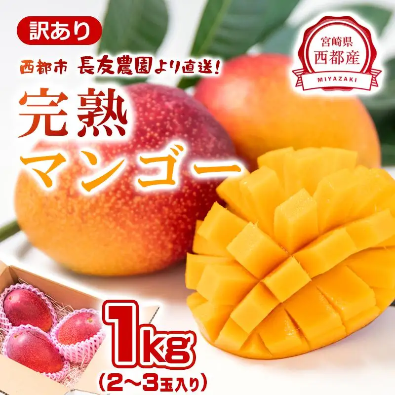 先行予約2027年発送【長友農園】訳あり 家庭用完熟マンゴー1kg（2～3玉） 宮崎県西都産 生産者直送＜46-1a＞