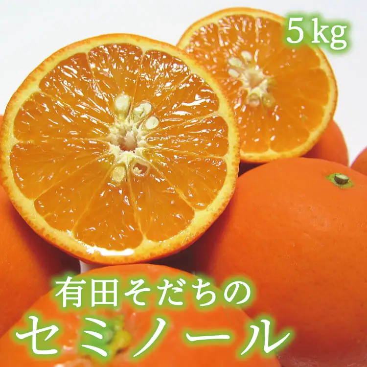 有田育ちの爽快セミノールオレンジ(ご家庭用)　約5kg+200g(補償分)　【2027年4月上旬～5月下旬頃に順次発送予定】【ard025B】