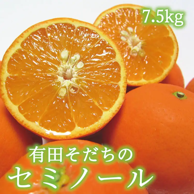 有田育ちの爽快セミノールオレンジ(ご家庭用)　約7.5kg+200g(補償分) 【2027年4月上旬～5月下旬頃に順次発送予定】【ard026B】
