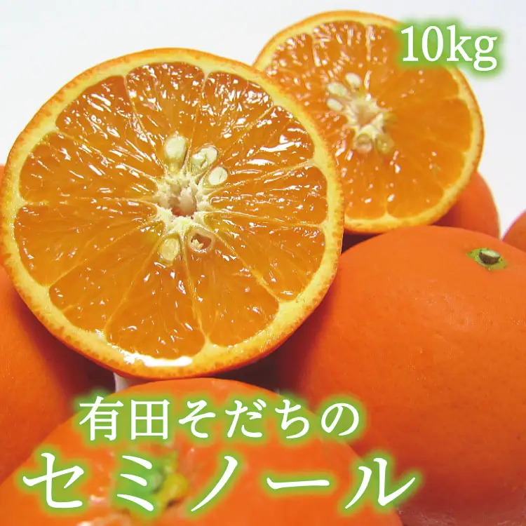 有田育ちの爽快セミノールオレンジ(ご家庭用)　約10kg+200g(補償分)【2027年4月上旬～5月下旬頃に順次発送予定】【ard027B】