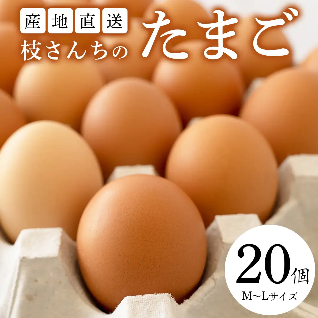 枝さんちのたまご(M～L20個) 産地直送  餌にこだわり 平飼いでのびのび育った卵 卵 非遺伝子組換え 7000 [BT001sa]